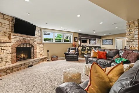 10139 West Tall Grass Lane Monee IL 60449