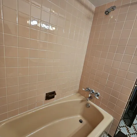 573 Gordon Avenue Calumet City IL 60409