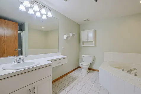 11545 Settlers Pond Way Orland Park IL 60467