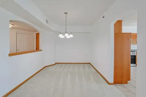 11545 Settlers Pond Way Orland Park IL 60467