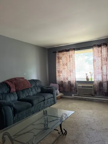 222 Madison Street Joliet IL 60435