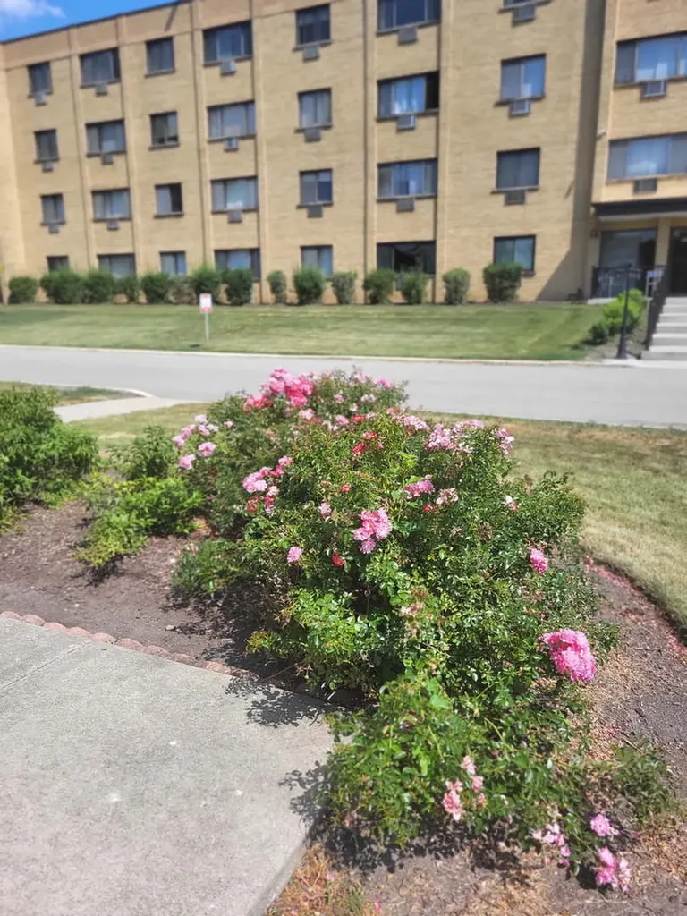 6670 South Brainard Avenue Countryside IL 60525
