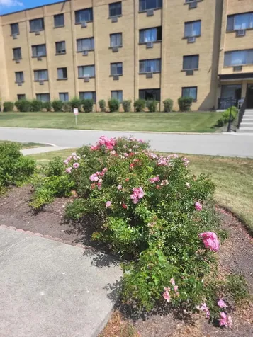 6670 South Brainard Avenue Countryside IL 60525