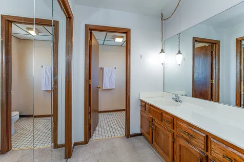 16624 Henry Lane Tinley Park IL 60477
