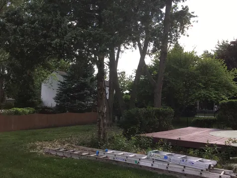 1132 Crimson Court Naperville IL 60564