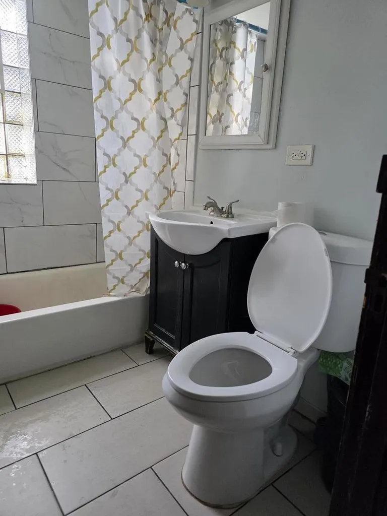 1543 North Avers Avenue Chicago IL 60651