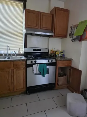 1543 North Avers Avenue Chicago IL 60651
