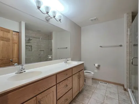 19604 Crested Butte Lane Mokena IL 60448