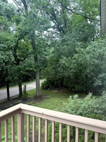 209 Rivers Drive Lake Bluff IL 60044