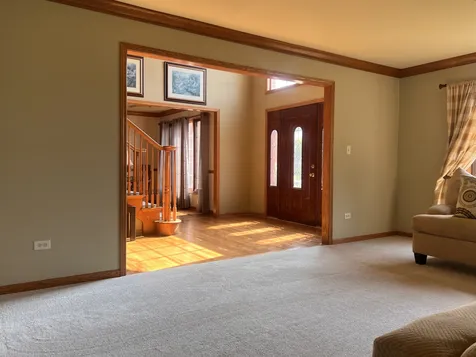 21367 Brittany Drive Frankfort IL 60423