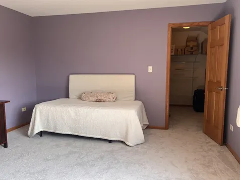 21367 Brittany Drive Frankfort IL 60423