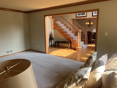 21367 Brittany Drive Frankfort IL 60423