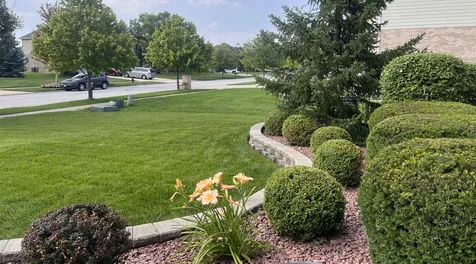 21367 Brittany Drive Frankfort IL 60423