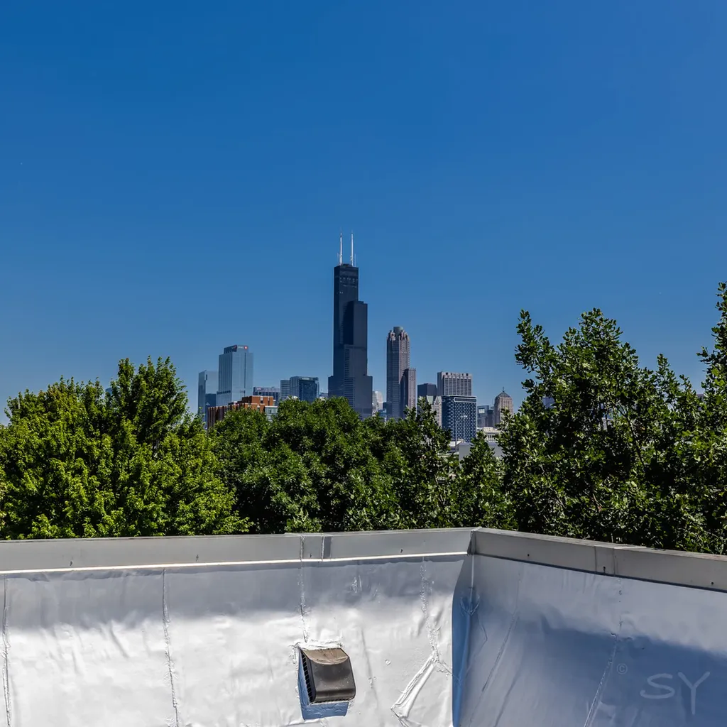 831 West 14th Place Chicago IL 60608