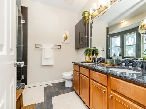 831 West 14th Place Chicago IL 60608