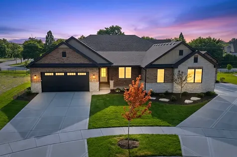11175 Lizmore Lane Orland Park IL 60467