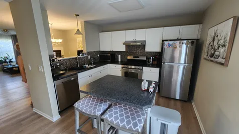 305 Holiday Lane Hainesville IL 60073