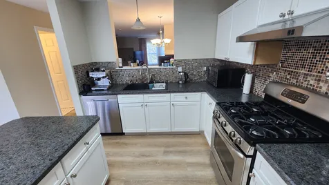 305 Holiday Lane Hainesville IL 60073