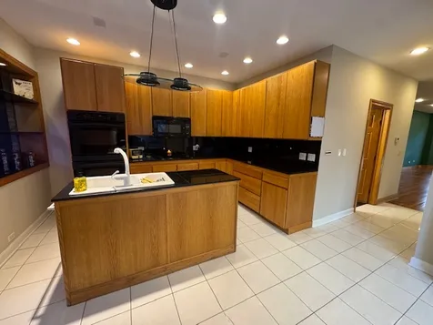 3309 South Lowe Avenue Chicago IL 60616