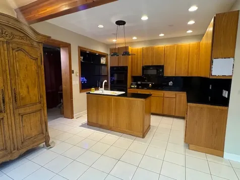3309 South Lowe Avenue Chicago IL 60616