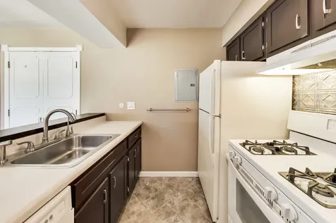 1313 Cove Drive Prospect Heights IL 60070