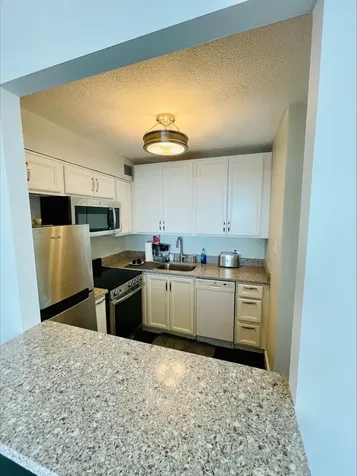 2728 North Hampden Court Chicago IL 60614