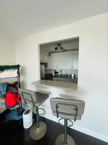 2728 North Hampden Court Chicago IL 60614