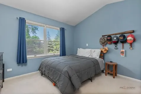 1305 Dancer Court Libertyville IL 60048