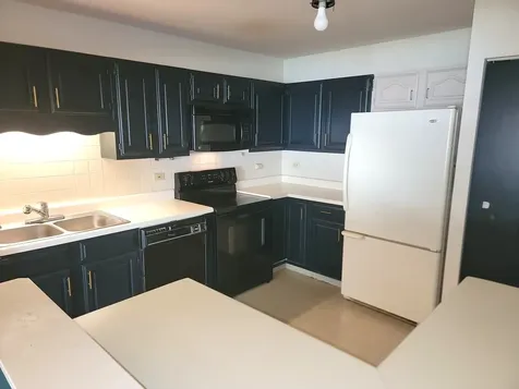 1311 Nutmeg Court Mount Prospect IL 60056