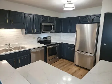 1311 Nutmeg Court Mount Prospect IL 60056