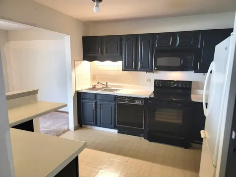 1311 Nutmeg Court Mount Prospect IL 60056