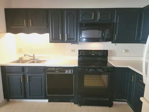 1311 Nutmeg Court Mount Prospect IL 60056