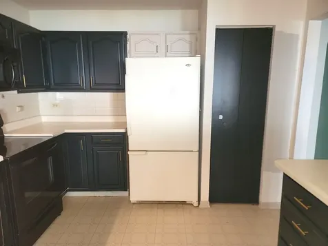 1311 Nutmeg Court Mount Prospect IL 60056