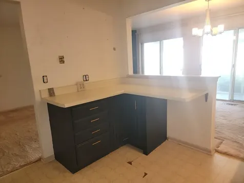 1311 Nutmeg Court Mount Prospect IL 60056