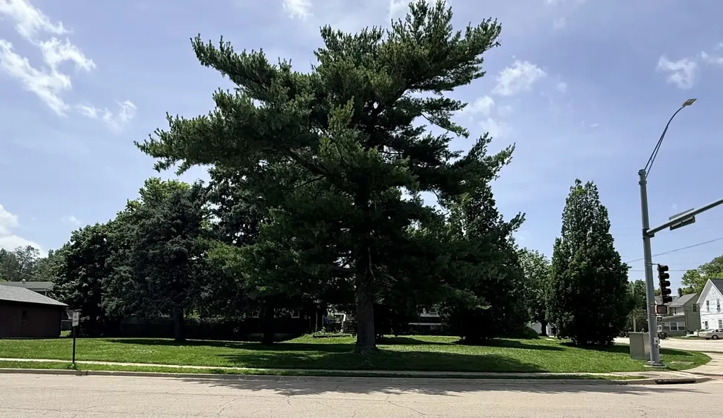 East Hitt Street Mount Morris IL 61054