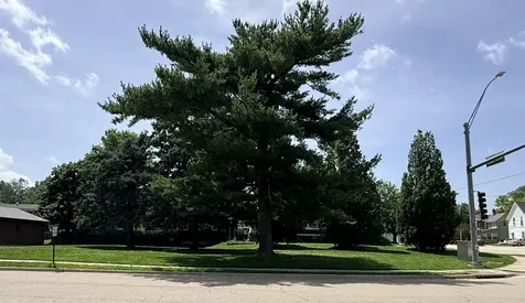 East Hitt Street Mount Morris IL 61054