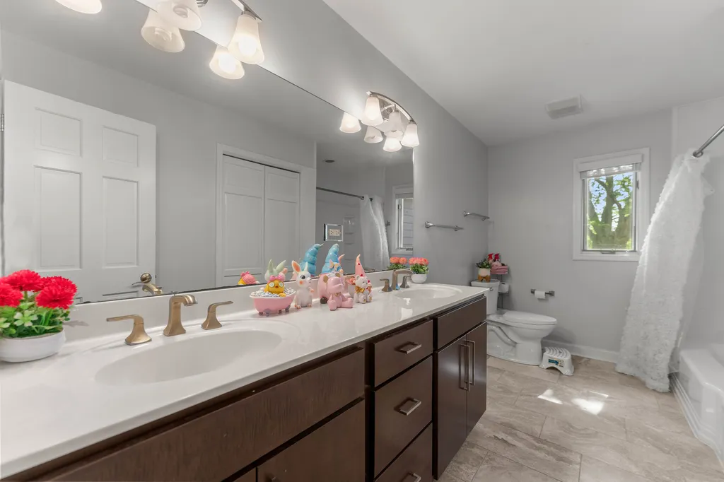24161 Brancaster Drive Naperville IL 60564