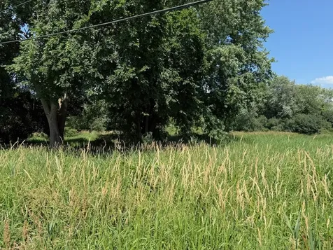 Lot 12 Tower Drive Holiday Hills IL 60051