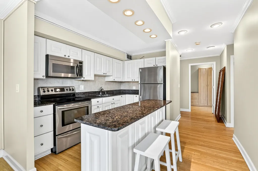 1355 North Sandburg Terrace Chicago IL 60610