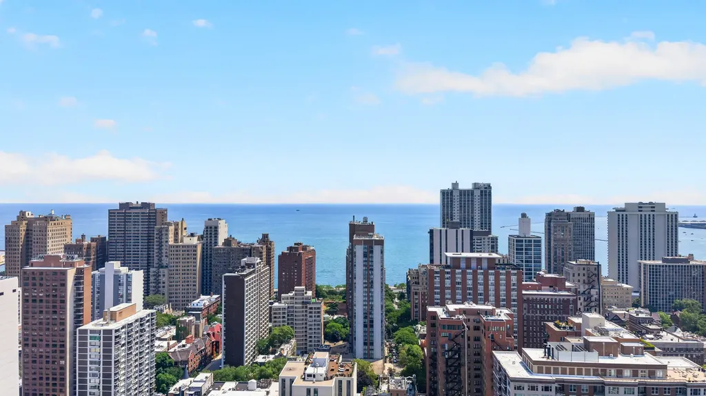 1355 North Sandburg Terrace Chicago IL 60610
