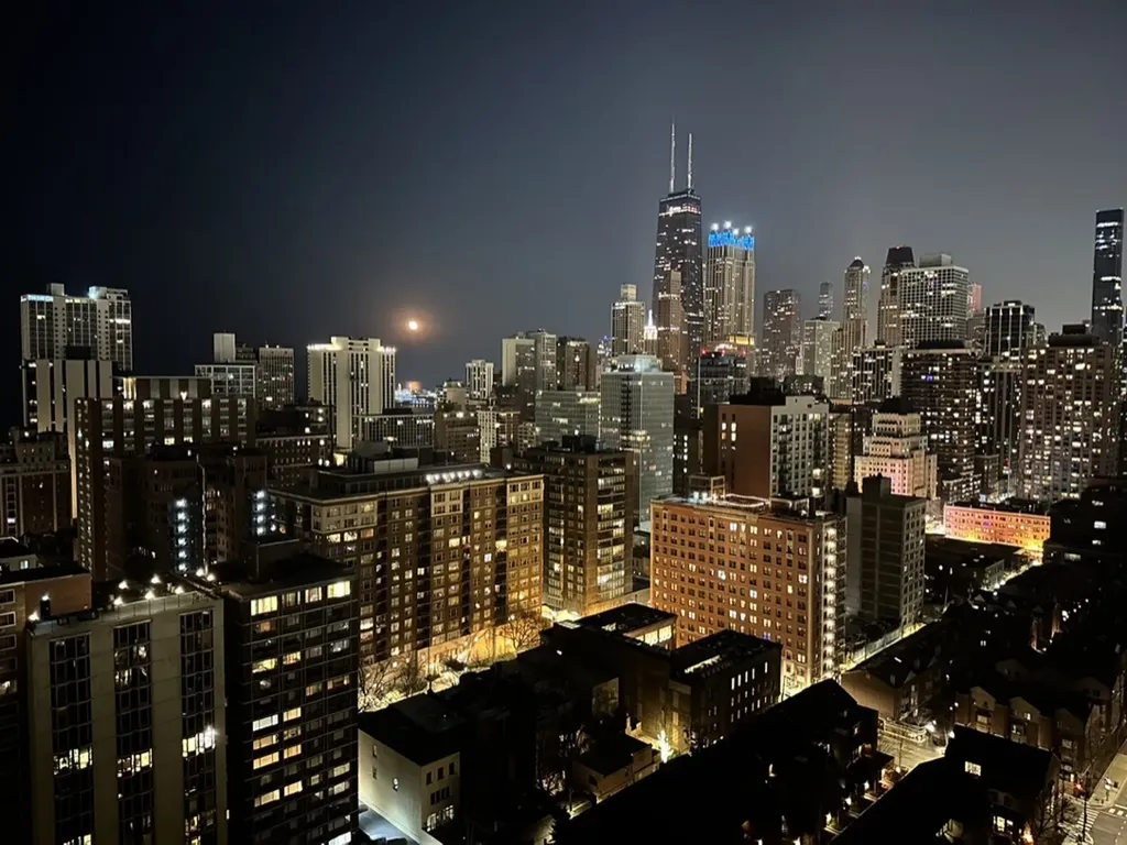1355 North Sandburg Terrace Chicago IL 60610