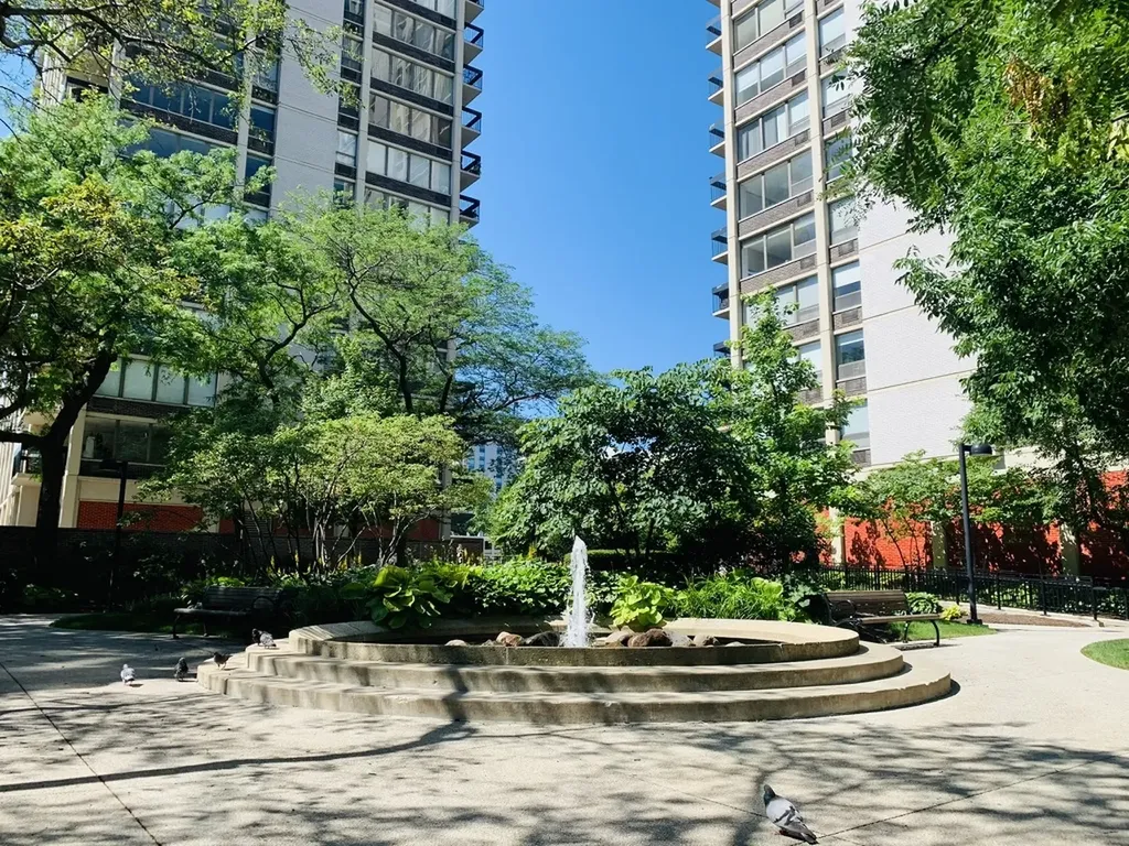 1355 North Sandburg Terrace Chicago IL 60610
