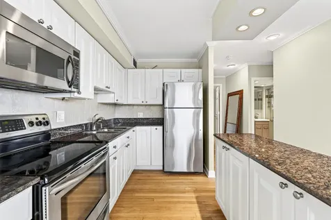 1355 North Sandburg Terrace Chicago IL 60610