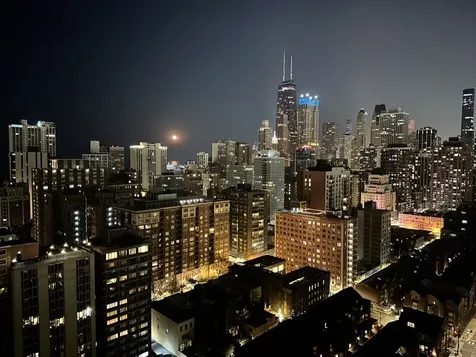 1355 North Sandburg Terrace Chicago IL 60610