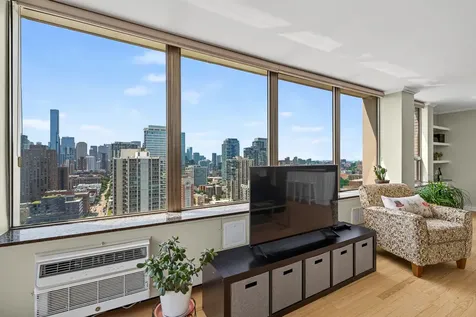 1355 North Sandburg Terrace Chicago IL 60610