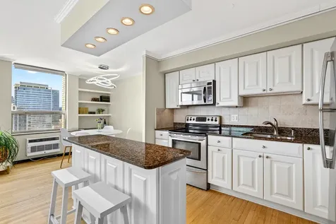 1355 North Sandburg Terrace Chicago IL 60610