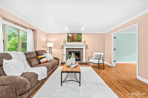 5024 Coneflower Drive Naperville IL 60564