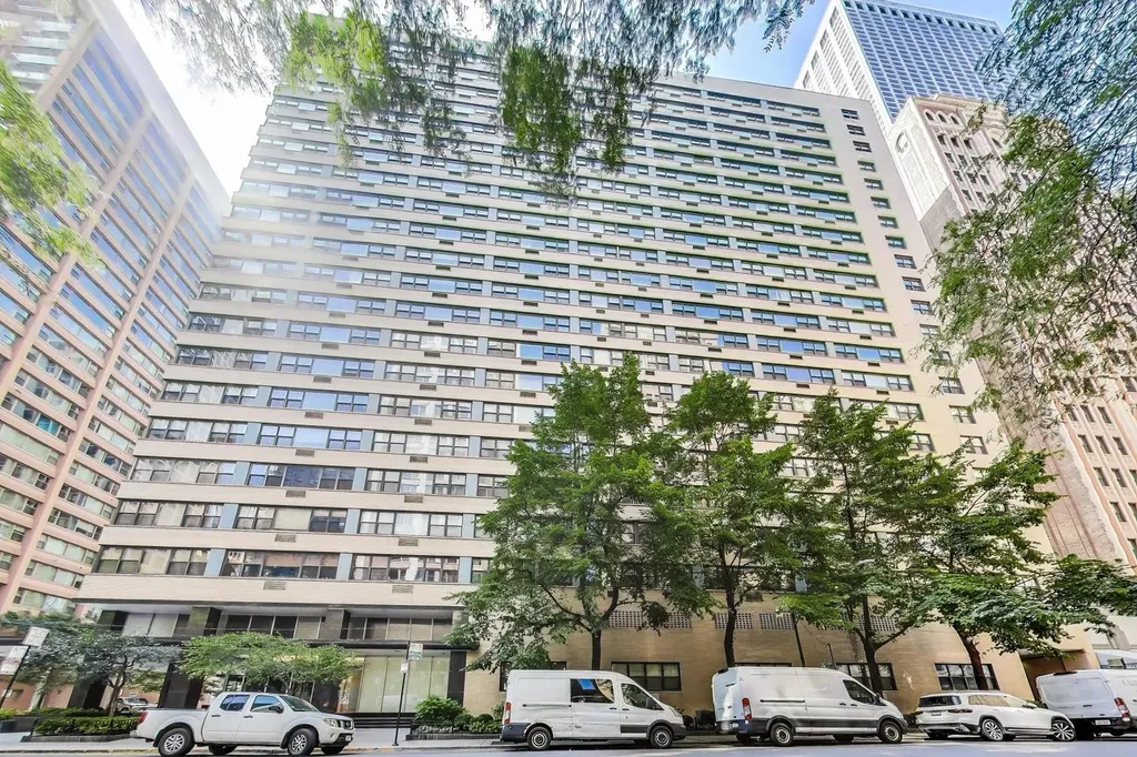 850 North Dewitt Place Chicago IL 60611