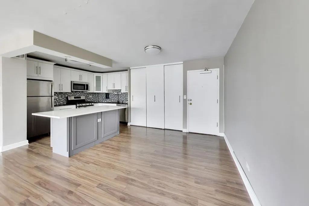 850 North Dewitt Place Chicago IL 60611