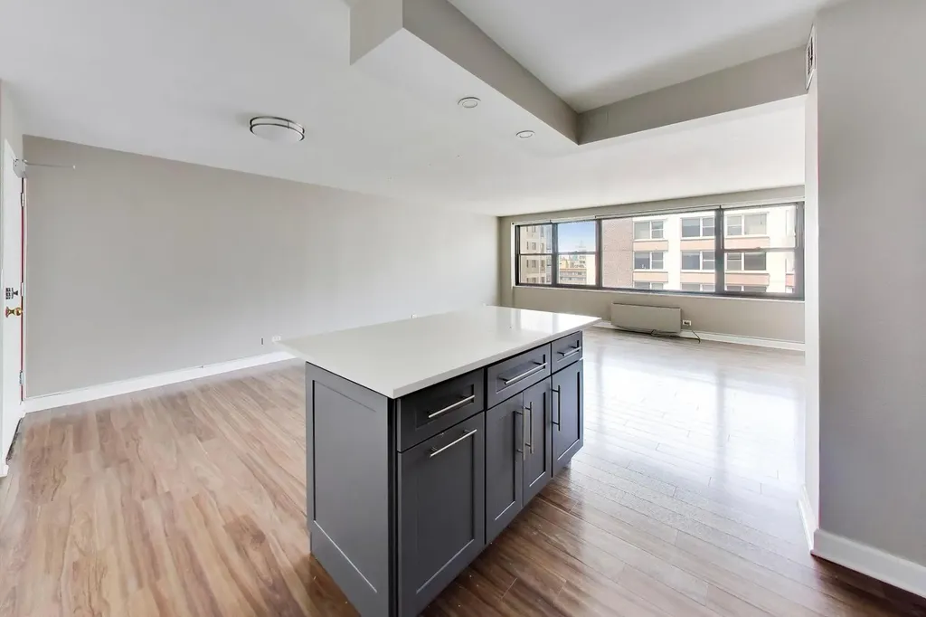 850 North Dewitt Place Chicago IL 60611